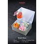 Snack Box Alt 2