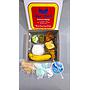 Paket Nasi II