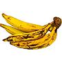 Pisang Tanduk