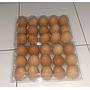 Telur