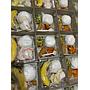 Paket Lunch Box Hemat (Warna Catering)