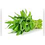 Kangkung