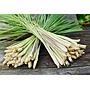 Daun Sereh