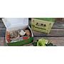 Snack Box Zora Food Service