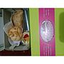 Snack box Premium soes Montoq