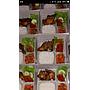 Nasi Ayam Penyet