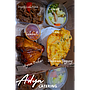 Paket Nasi Adya Catering