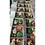 LUNCH BOX