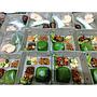 Nasi Box #2 Dapur Zulfah