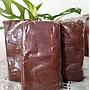 Kopi Bubuk 1 kgur