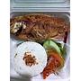 Nasi Ayam/Ikan Nila Goreng