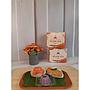 SNACK BOX 18.000