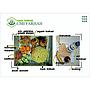 Paket Kebuli 1 by Umi Farhah