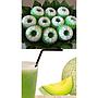 PMT LANSIA PAKET 1