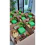 Nasi Box Komplit
