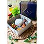 NASI BOX TIPE A
