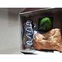 PAKET II - 4 IRMA BAKERY