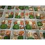 Nasi Box Romlah Kitchen 2