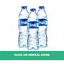 Oasis 600 Ml
