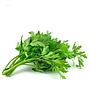 DAUN SLEDRI PUTRA LABON