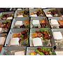 Paket Ayam Bakar Madu Piter Catering