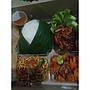 Nasi Kotak Ayam Goreng