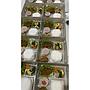 Nasi box menu 3