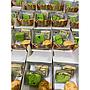 Snack Box 4 - Sanny Cathering