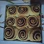CINAMON ROLL