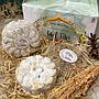 Putri Salju Cookies Mama Desy