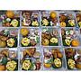 Paket Rapat Nasi Box & Snack Kue Box