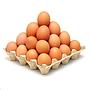 TELUR AYAM (PER BUTIR)