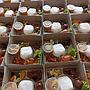 Paket Snack dan Nasi Box