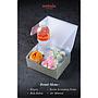 Snack Box Alt 2