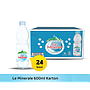 Air Mineral 600 ml x 24/dus