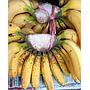 Buah Pisang Persisir 