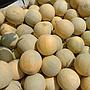Melon