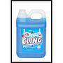 Pembersih Kaca / Glass Cleaner Cling 4lt