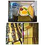 PAKET SNACK CERIA